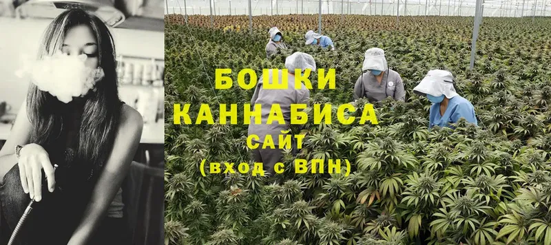 блэк спрут зеркало  продажа наркотиков  Старый Оскол  Канабис OG Kush 